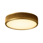 LED ceiling flush mount in aged brass