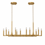 Birch 54" Linear Candlestick Chandelier