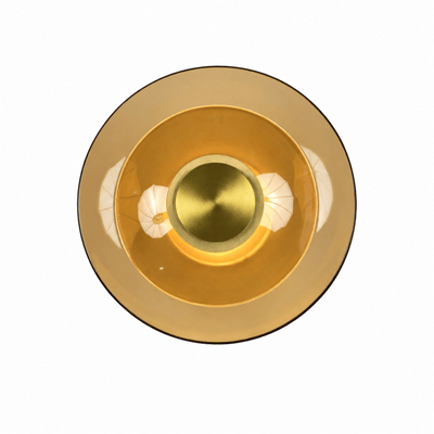 Nexis 12 Inch Gold & Amber LED Wall Sconce